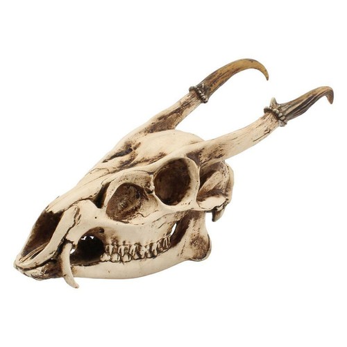 Ziegenschädel kopf skulptur - ziegenschädel,