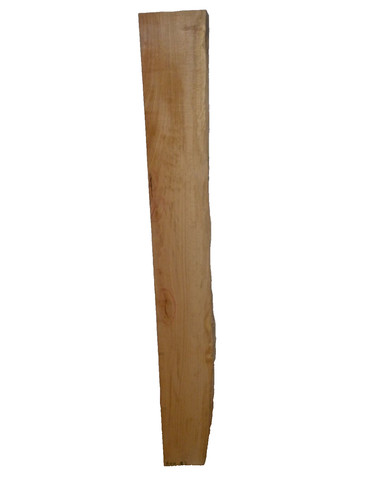 Buche gestockt gerissen - 1x,