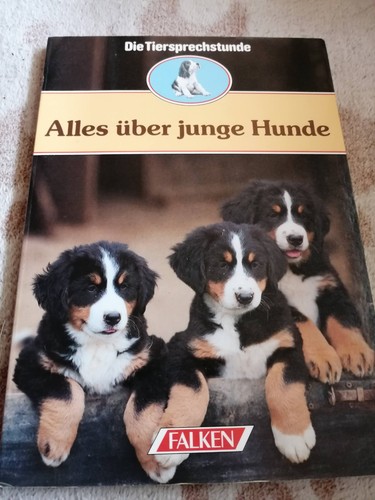 Alles über junge hunde - junge,