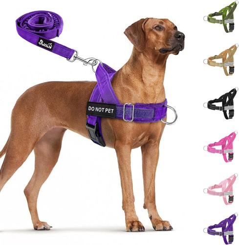 Hundegeschirr für große - hundegeschirr,