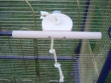 pipano Mini Sitzbrett +