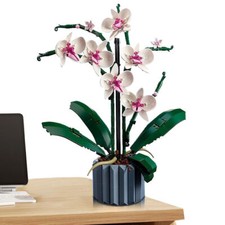 DIY Mini Bonsai Sukkulenten Baustein Blumenstrau? Baustein Home Deko Geschenk