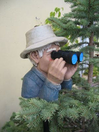 Beobachter mit fernglas - mit,