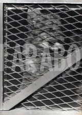 Altes Pressefoto Tiere