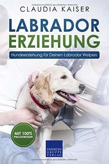 Labrador erziehung - labrador,