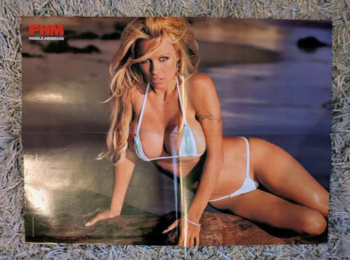 Pamela anderson kristanna - anderson,