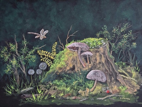 Waldlibelle natur gemälde - waldlibelle,