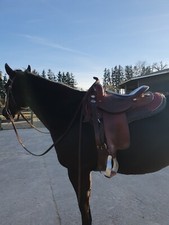 Westernsattel Deuber& Partner