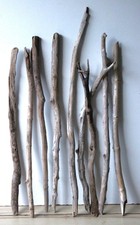 Treibholz Schwemmholz