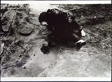 DDR. "ER-Schöpfung", 1987