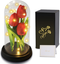 Galaxy Rose Blume Geschenk