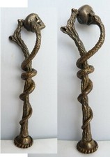 Schlange  Totenkopf Memento