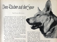 Criminal Police Criminal