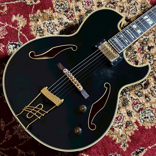 Ibanez pm100 371672 - ibanez,