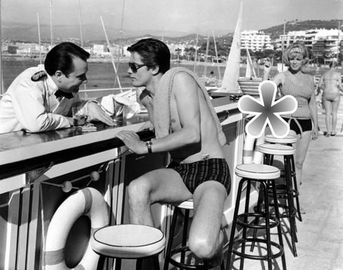 Foto alain delon reproduktion - foto,