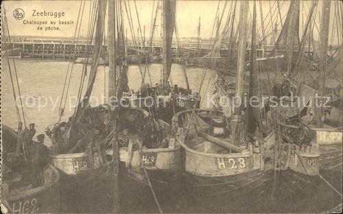 Segelboote schaluppe - segelboote,