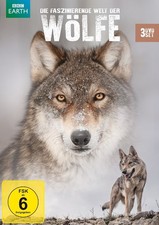 Die faszinierende Welt der