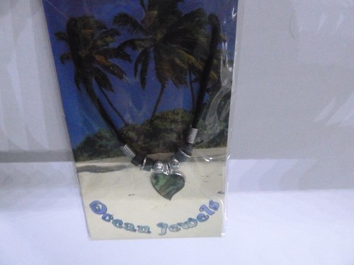 Paua muschel abalone - paua,
