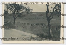 7004a❚ ORIGINAL Foto