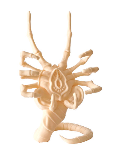 Alien facehugger - alien,