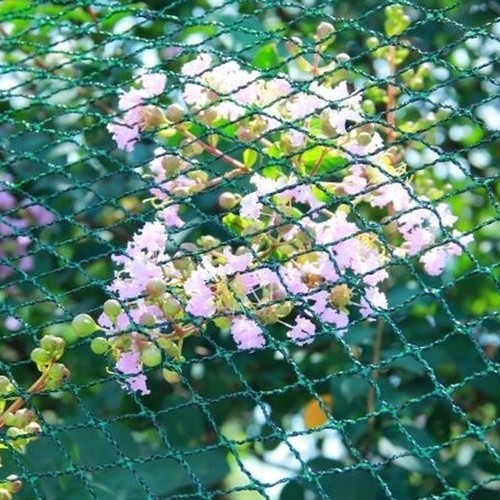 Teichnetz vogelschutznetz - teichnetz,