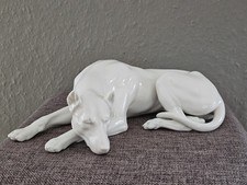 Dobermann,Nymphenburg,Weißpor