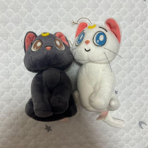 Sailor moon luna artemis - luna,
