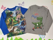 Langarmshirt Pullover 2er Pack Dinosaurier Größe 104/110