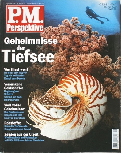 Perspektive heft 00 juli - pm,