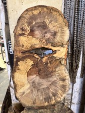 Baumscheibe, Holzscheibe