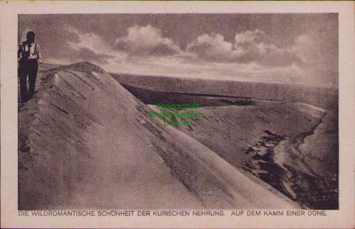 192147 die wildromantische - 192147,