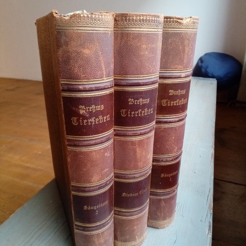 Brehm tierleben 3 - brehm's,