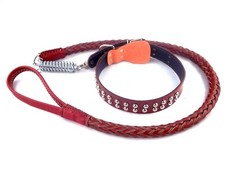 SET Leine + Halsband Gr. XL