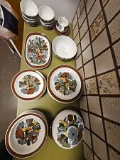 Thomas Porzellan Kiruna Camargue "Top erhaltenes Service 70er Jahre"