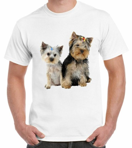 Yorkshire terrier welpen - yorkshire,