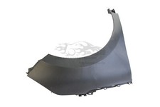 Original Kotflügel rechts