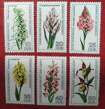 Briefmarken DDR Orchideen Riemenzunge Knabenkraut Spitzorchis Frauenschuh 1976