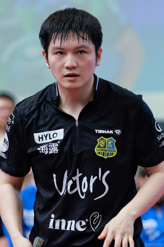 Fan zhendong fig - zhendong,