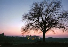 AK Leisnig/Sachsen "Abendstimmung - Blick vom Galgenberg" ungelaufen