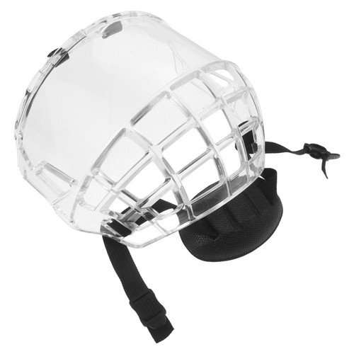 Eishockey-Helmvisier