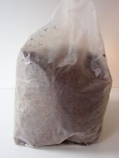 Bio Buchenholz Getreidemischung 8 Liter, steril verpackt, für eigene Pilzbrut