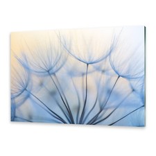 Glasbilder Wandbild Druck auf