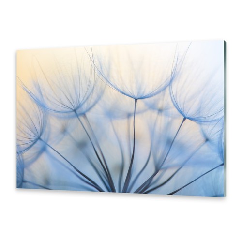 Glasbilder wandbild druck auf - wandbild,