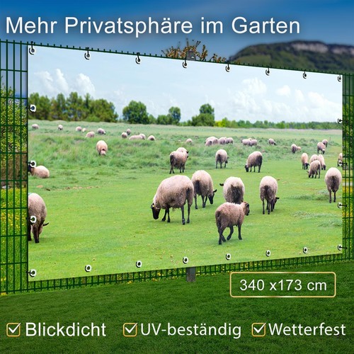 Motiv plane garten - garten, groß