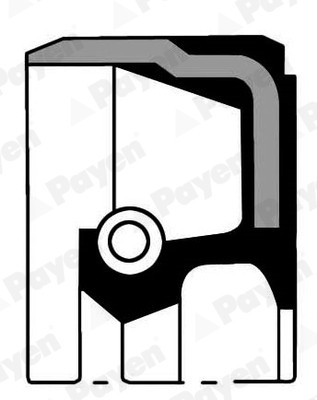 Payen np067 shaft seal - payen,