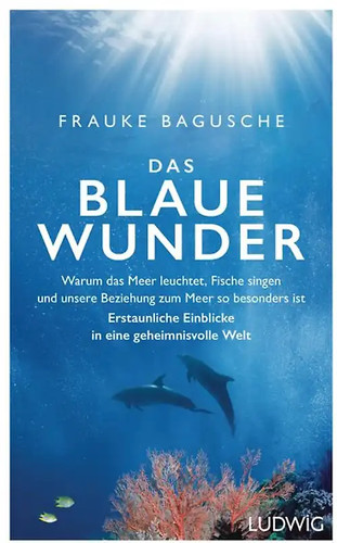 Das blaue wunder - das,