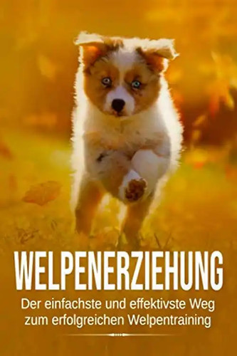 Welpenerziehung der - welpenerziehung:,