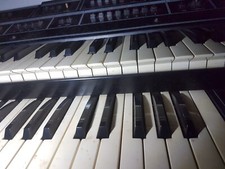 Crumar transportable organ - t,