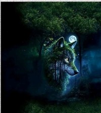 Sommersweat French-Terry  Wolf