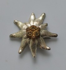 Abzeichen Deutscher Alpen